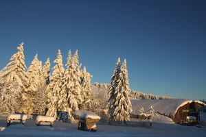 Haus der Natur im Winter Haus der Natur im Winter