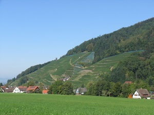 Blick ins Glottertal Blick ins Glottertal