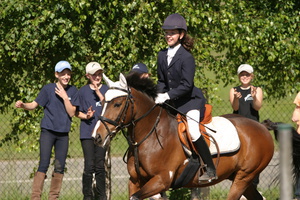 Reiten im Schwarzwald Reiten im Schwarzwald
