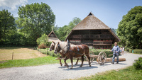 Schwarzwälder Freilichtmuseum Vogtsbauernhof Schwarzwälder Freilichtmuseum Vogtsbauernhof