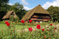 Schwarzwälder Freilichtmuseum Vogtsbauernhof Schwarzwälder Freilichtmuseum Vogtsbauernhof