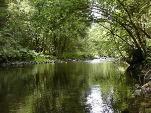 Wutachschlucht Wutachschlucht