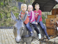 Mit freundlicher Genehmigung der Tourist-Information Hornberg (Bildnachweis: Mit freundlicher Genehmigung der Tourist-Information Hornberg) Mit freundlicher Genehmigung der Tourist-Information Hornberg (Bildnachweis: Mit freundlicher Genehmigung der Tourist-Information Hornberg)