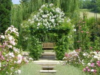 (Bildnachweis: Mit freundlicher Genehmigung der Bade- und Kurverwaltung Bad Bellingen)  (Bildnachweis: Mit freundlicher Genehmigung der Bade- und Kurverwaltung Bad Bellingen)