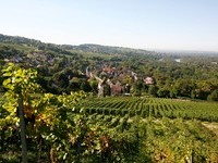 (Bildnachweis: Mit freundlicher Genehmigung der Bade- und Kurverwaltung Bad Bellingen)  (Bildnachweis: Mit freundlicher Genehmigung der Bade- und Kurverwaltung Bad Bellingen)