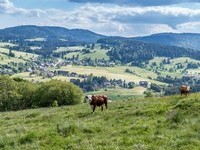 (Bildnachweis: Mit freundlicher Genehmigung Tourist Information Bernau) (Bildnachweis: Mit freundlicher Genehmigung Tourist Information Bernau)