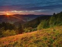 (Bildnachweis: Mit freundlicher Genehmigung Tourist Information Bernau) (Bildnachweis: Mit freundlicher Genehmigung Tourist Information Bernau)