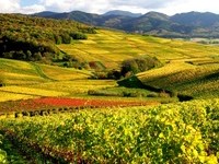 (Bildnachweis: Copyright und Fotograf: Th. Coch) (Bildnachweis: Copyright und Fotograf: Th. Coch)