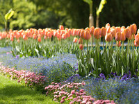 (Bildnachweis: Mit freundlicher Genehmigung der Stadt Lahr)  (Bildnachweis: Mit freundlicher Genehmigung der Stadt Lahr)