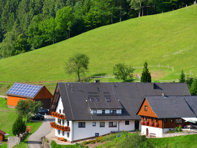 Appartements im Schwarzwald