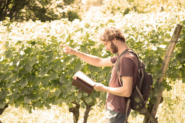 Eduardo & das Weingeheimnis Bildnachweis: Mit freundlicher Genehmigung von Berggeheimnis Eduardo & das Weingeheimnis Bildnachweis: Mit freundlicher Genehmigung von Berggeheimnis