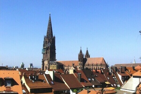 Freiburger Mnster
