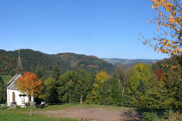 Herbst in Buchenbach Copyright: (Tourist-Information Dreisamtal) Herbst in Buchenbach Copyright: (Tourist-Information Dreisamtal)