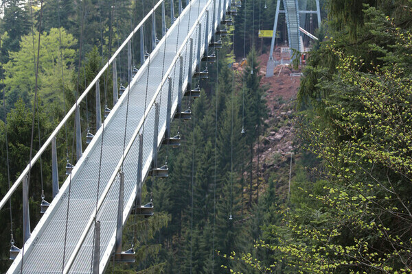 Wildline Hängeseilbrücke Copyright: (Hotel Rothfuss Bad Wildbad) Wildline Hängeseilbrücke Copyright: (Hotel Rothfuss Bad Wildbad)